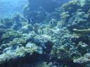 DSC00633.JPG