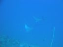 DSC00636.JPG