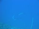 DSC00637.JPG