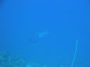 DSC00638.JPG