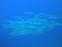 DSC00643.JPG