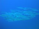 DSC00644.JPG