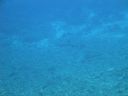 DSC00646.JPG