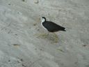 DSC00649.JPG