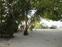 DSC00651.JPG