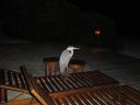 DSC00655.JPG