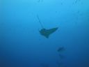 DSC00664.JPG