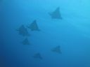 DSC00668.JPG