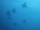 DSC00670.JPG