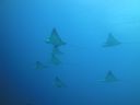 DSC00673.JPG