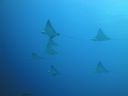 DSC00674.JPG