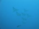DSC00675.JPG