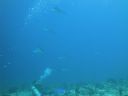DSC00677.JPG