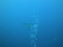 DSC00682.JPG