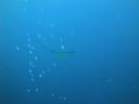 DSC00683.JPG