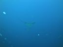 DSC00684.JPG