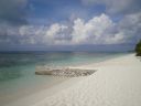 DSC00688.JPG