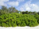 DSC00690.JPG