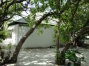 DSC00694.JPG