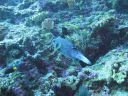 DSC00716.JPG