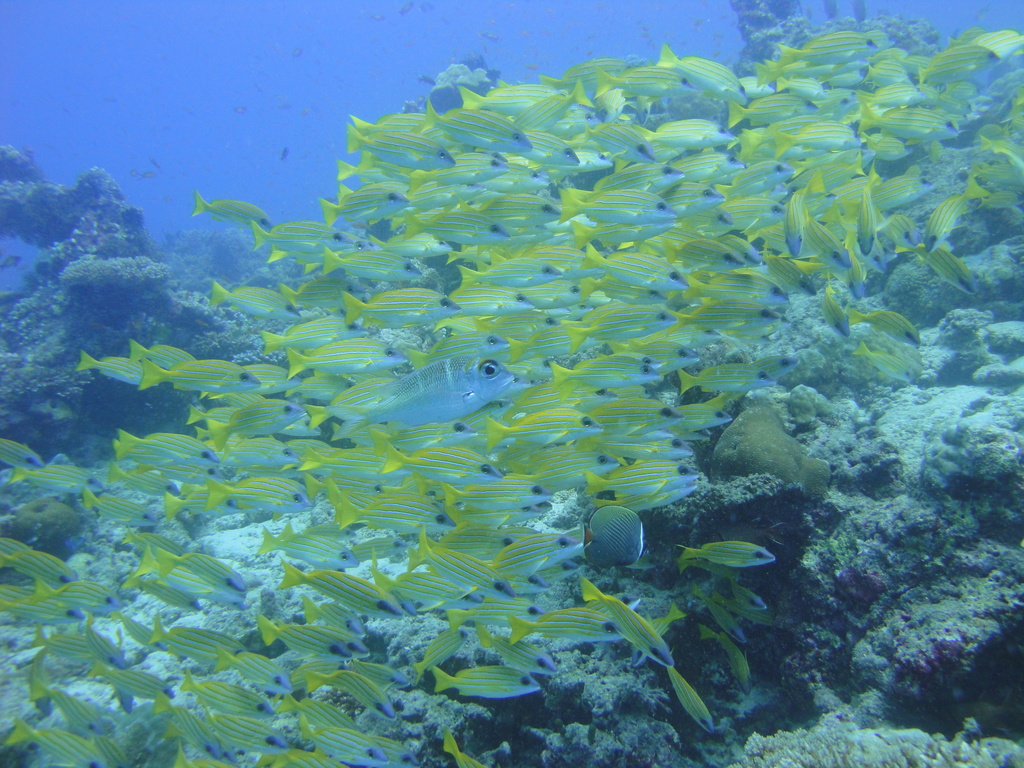 DSC00027.JPG