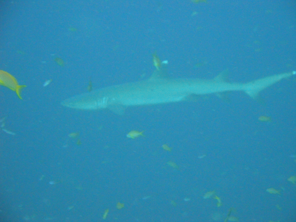 DSC00100.JPG