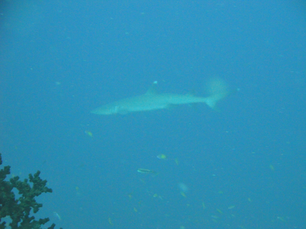 DSC00104.JPG