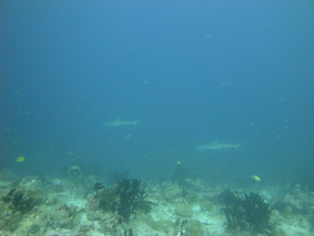 DSC00170.JPG
