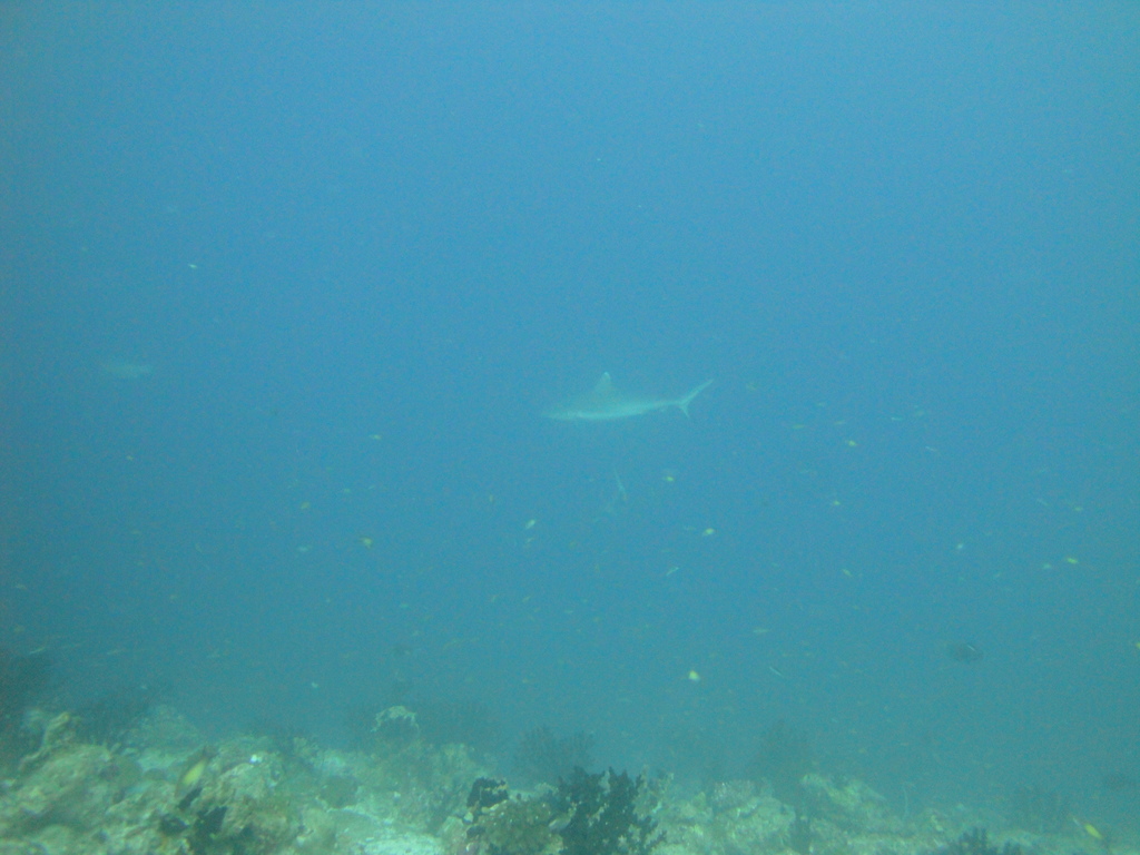 DSC00174.JPG