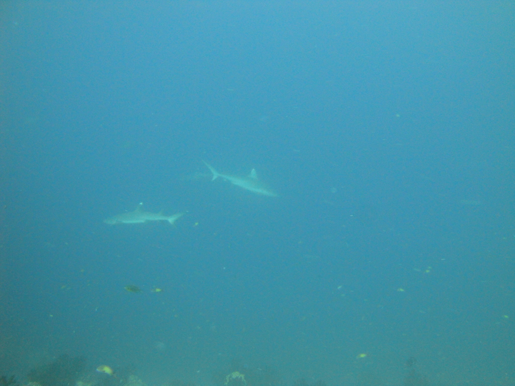 DSC00175.JPG