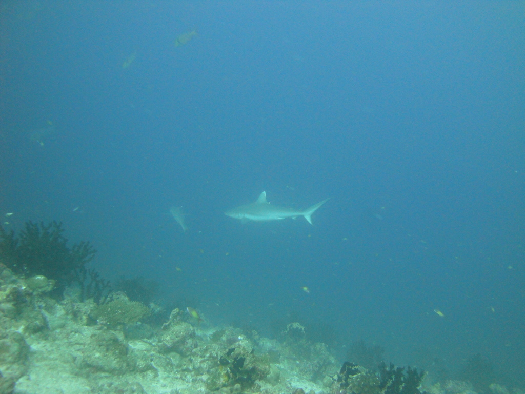 DSC00177.JPG