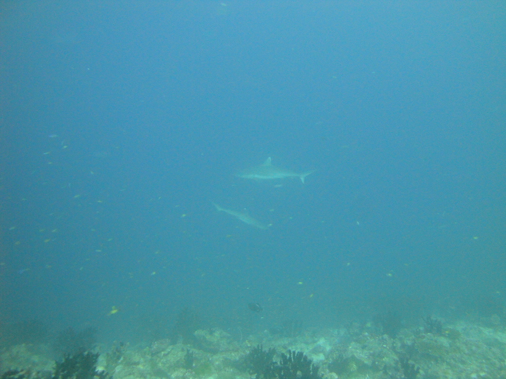 DSC00179.JPG