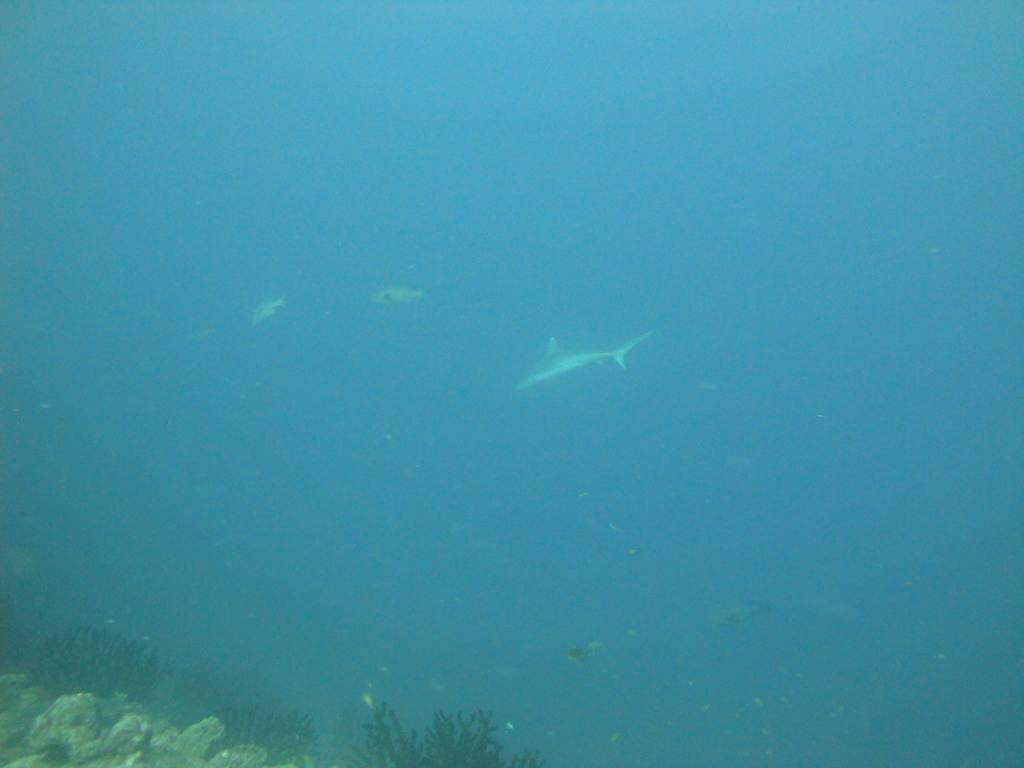 DSC00180.JPG