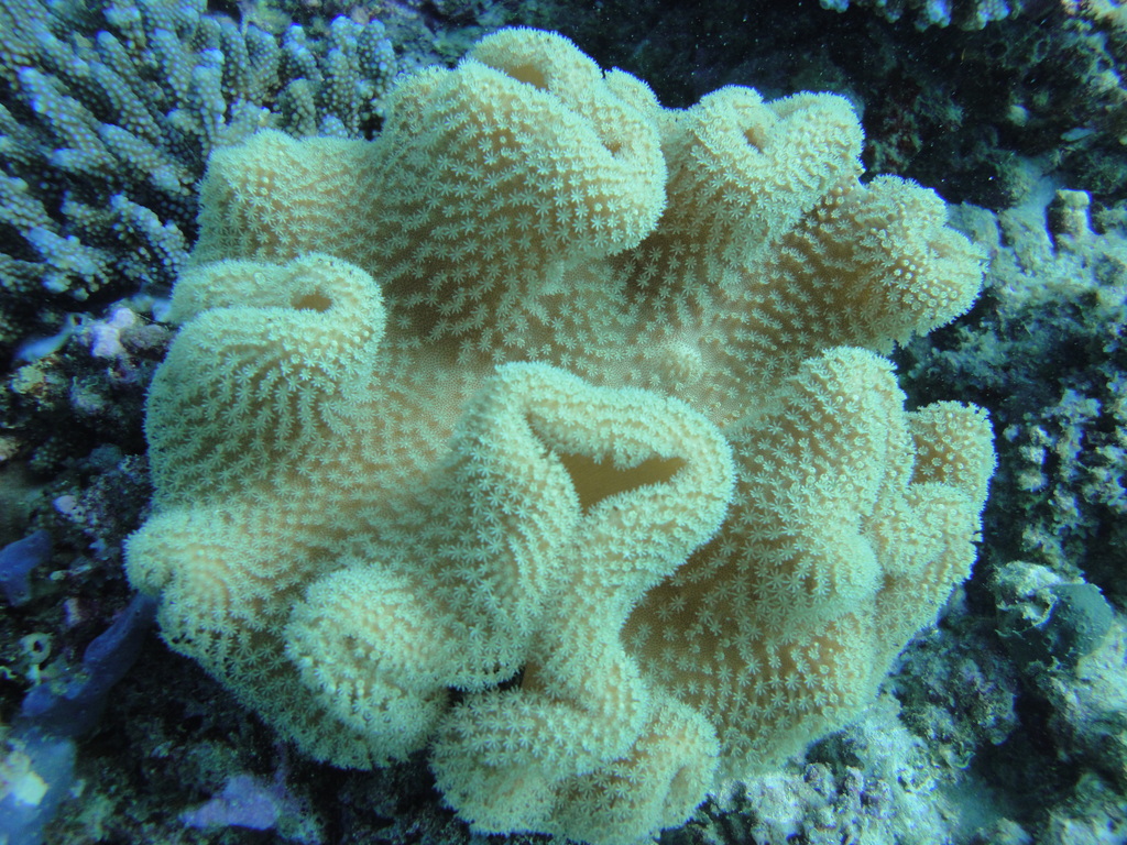 DSC00216.JPG
