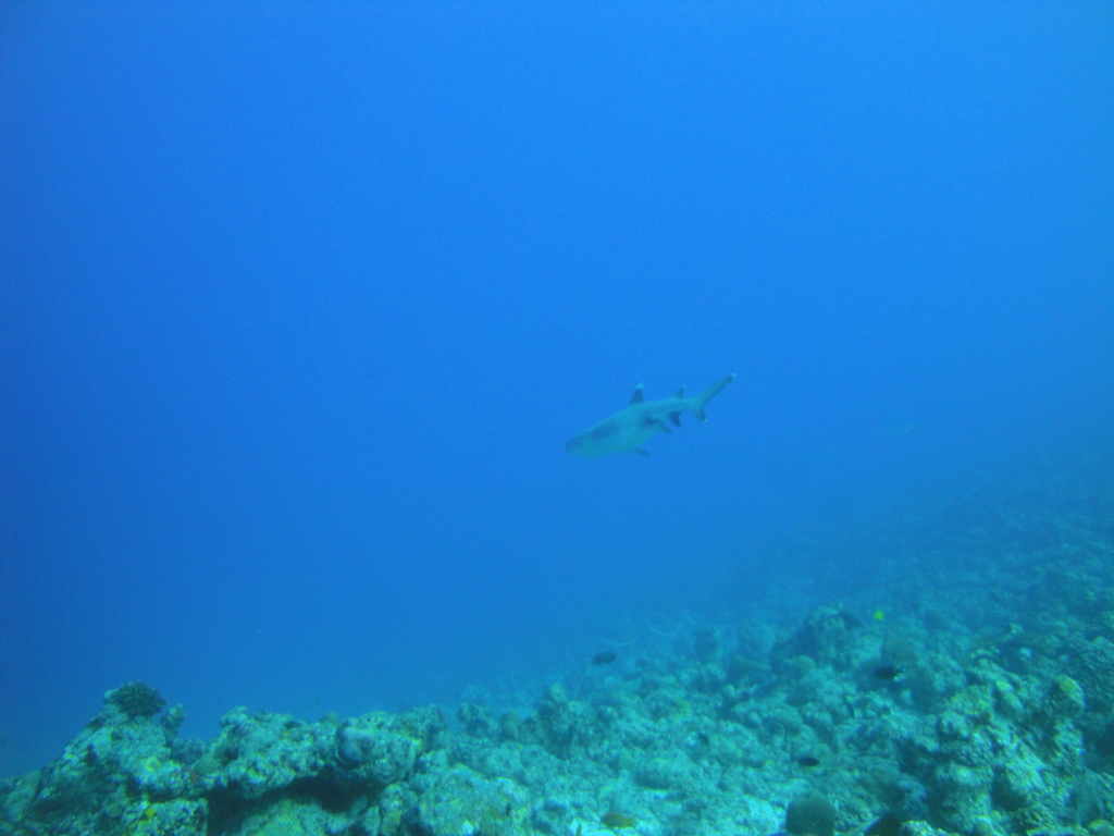 DSC00280.JPG