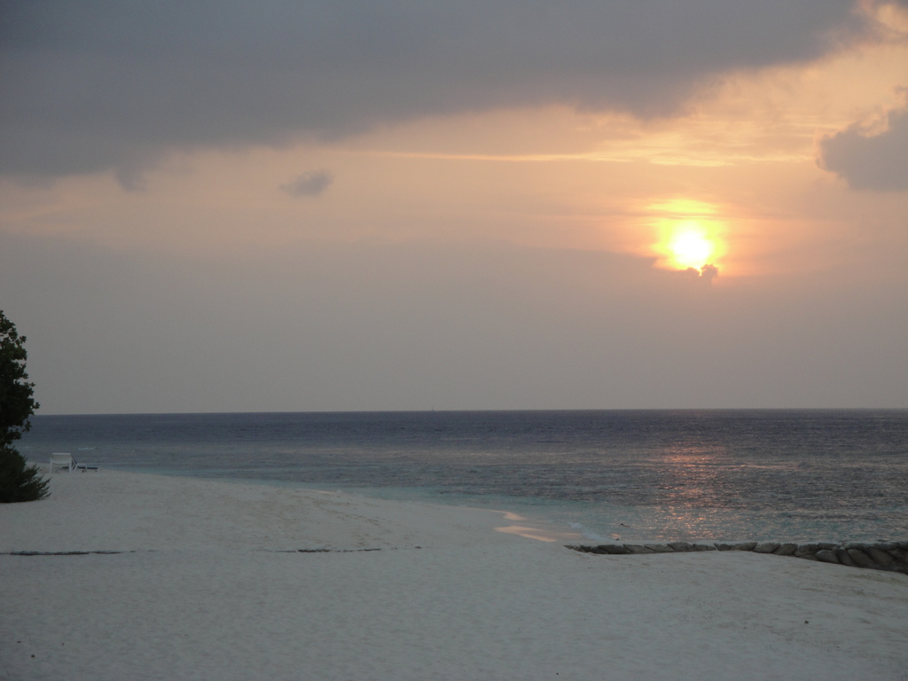 DSC00285.JPG
