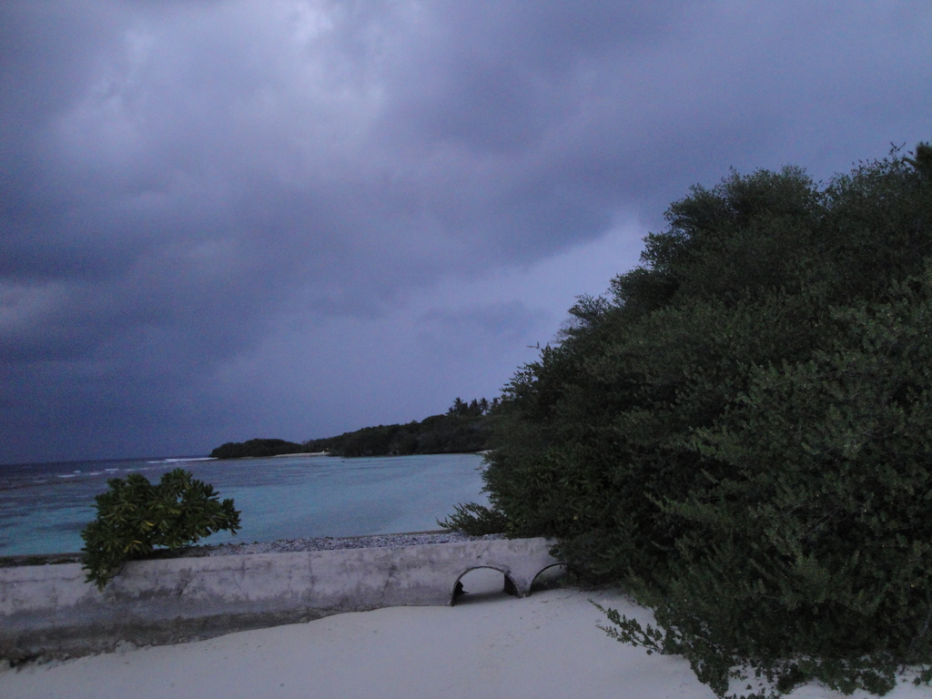 DSC00287.JPG
