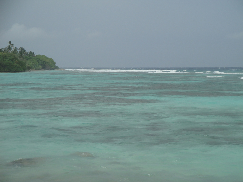 DSC00291.JPG