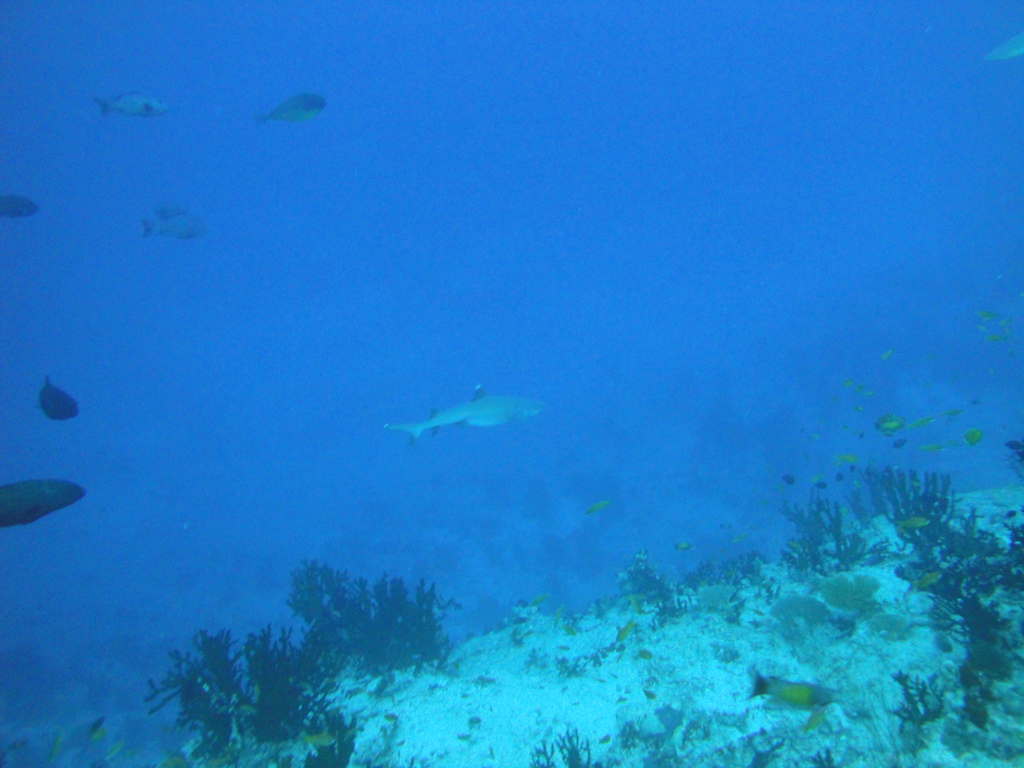 DSC00310.JPG