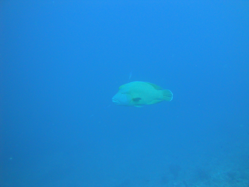 DSC00321.JPG