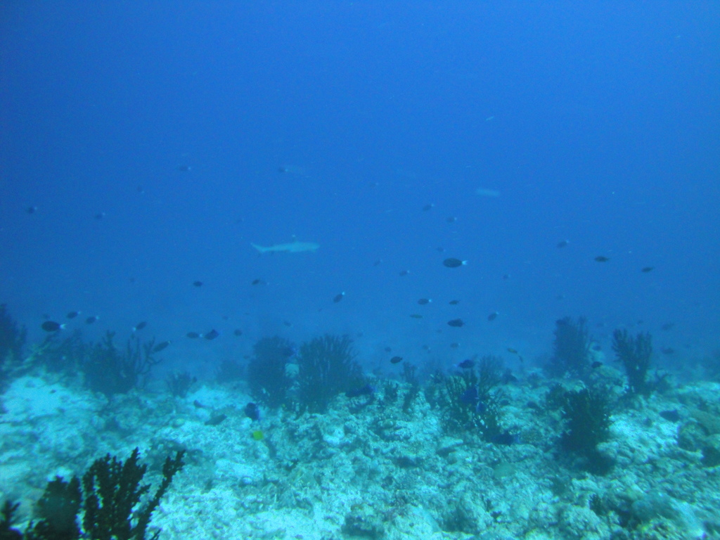 DSC00405.JPG