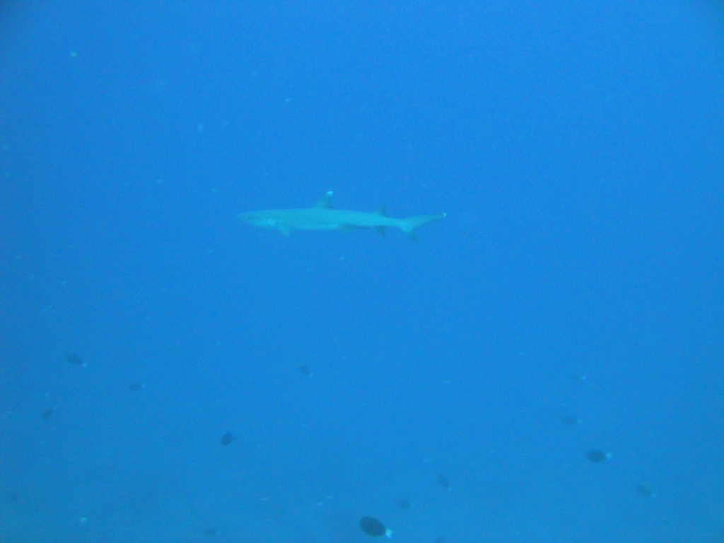 DSC00410.JPG
