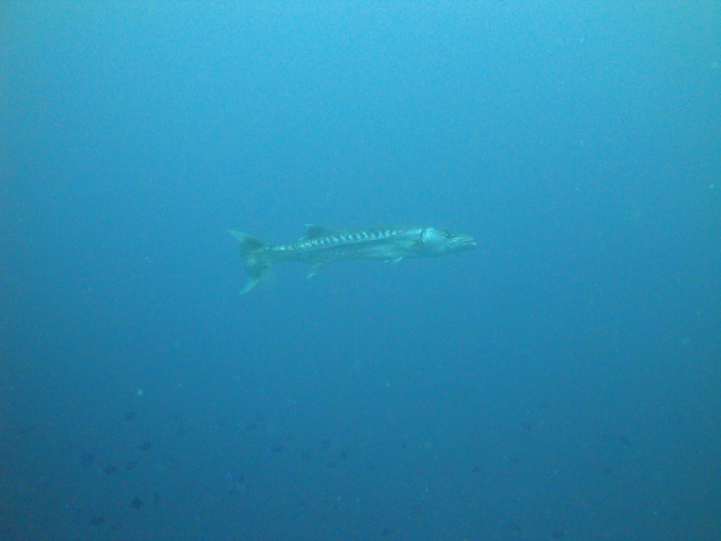 DSC00424.JPG