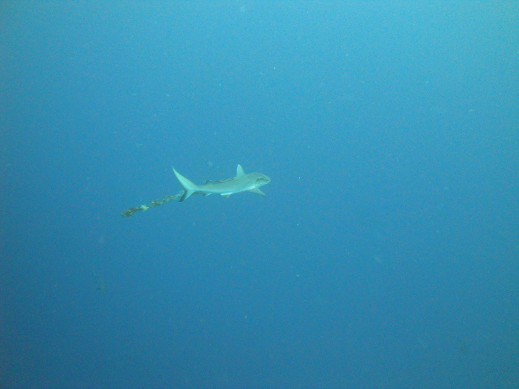DSC00430.JPG
