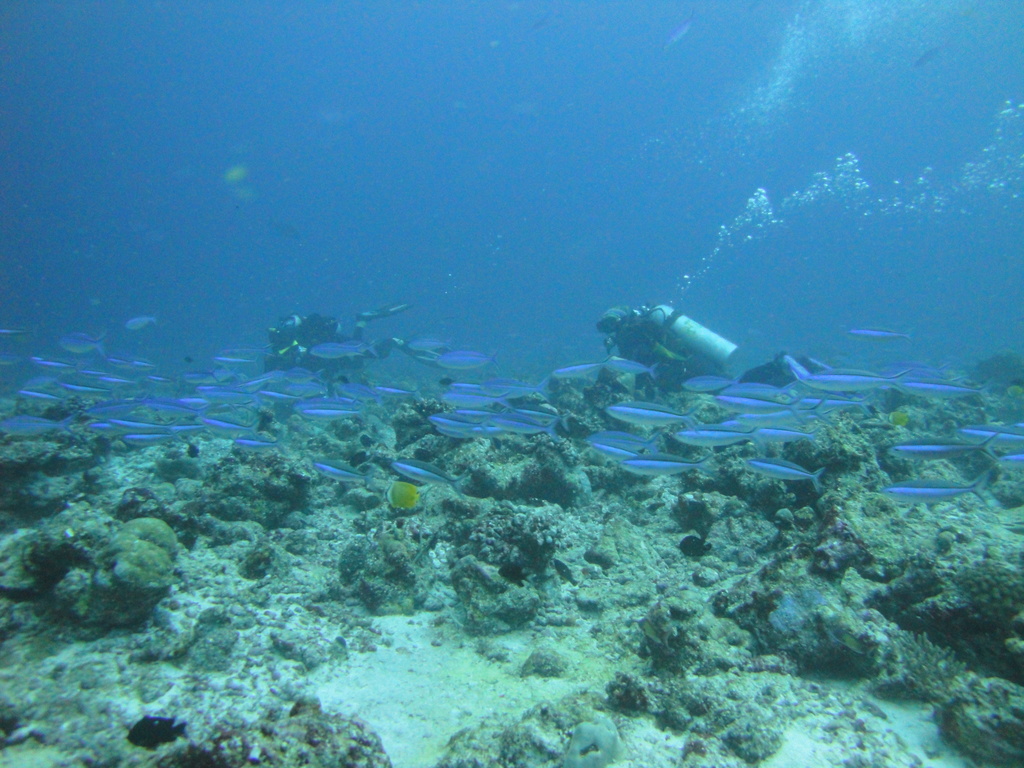 DSC00468.JPG