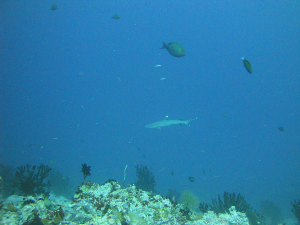 DSC00470.JPG
