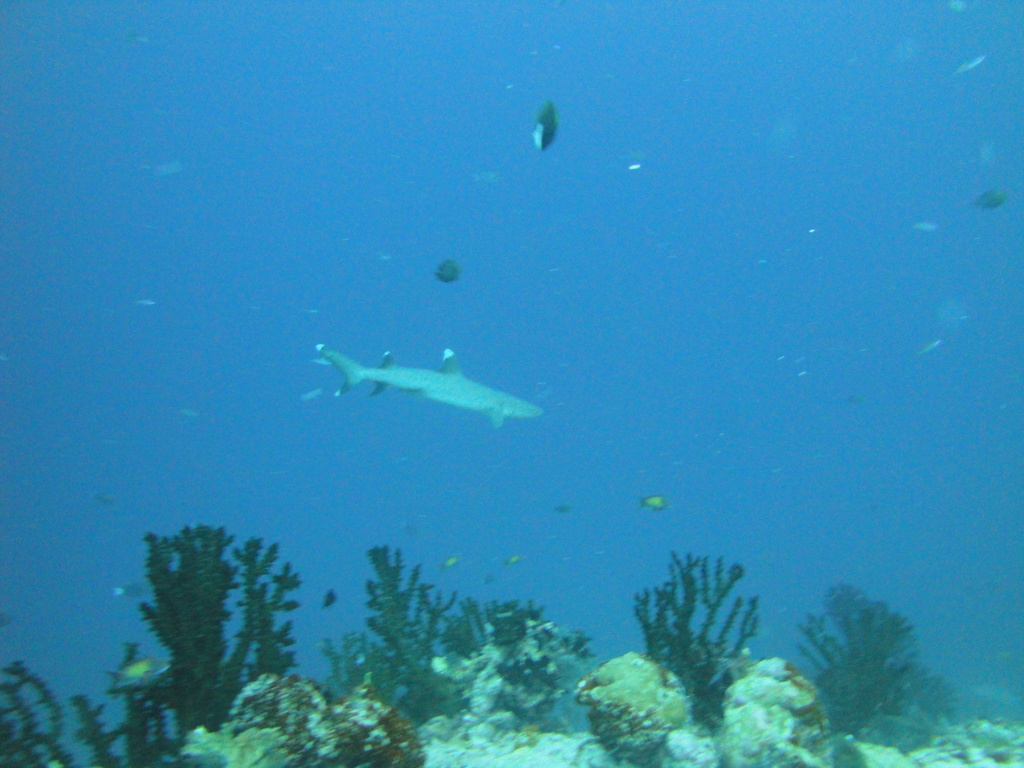 DSC00471.JPG
