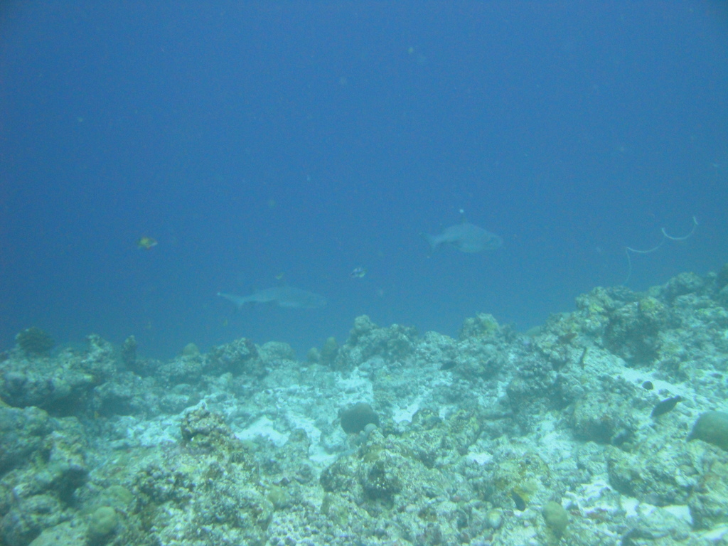 DSC00489.JPG