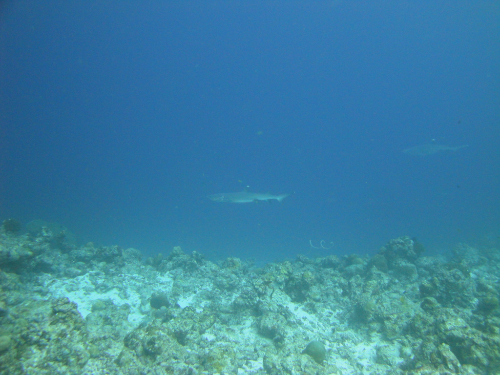 DSC00497.JPG