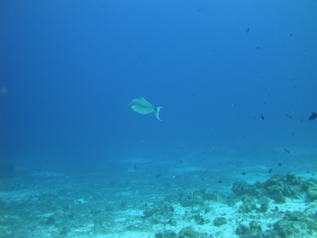 DSC00524.JPG